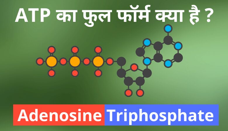 ATP full form in Hindi