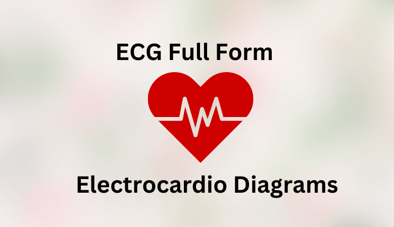ECG Full Form In Hindi